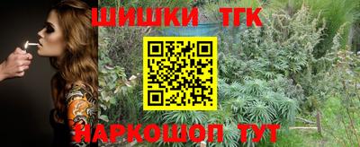 амф Кандалакша
